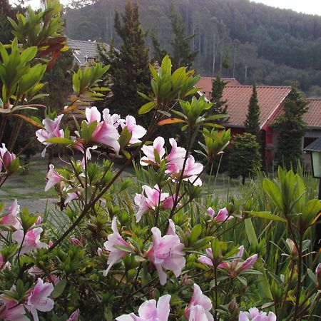 Pousada Flores Da Serra 몬테베르데 외부 사진