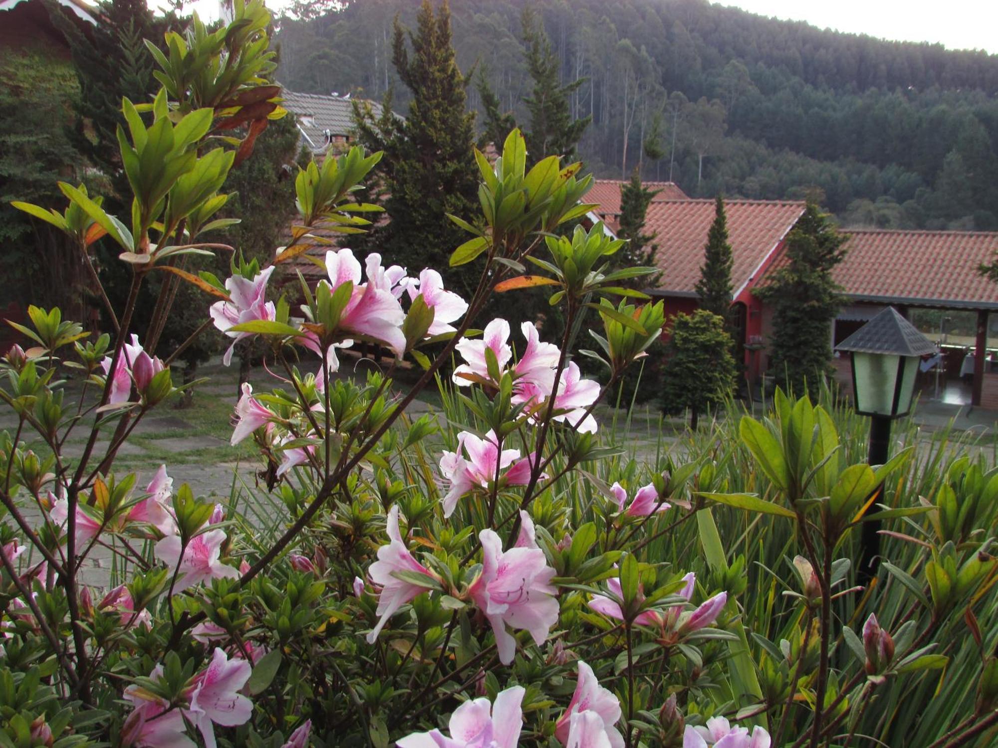 Pousada Flores Da Serra 몬테베르데 외부 사진